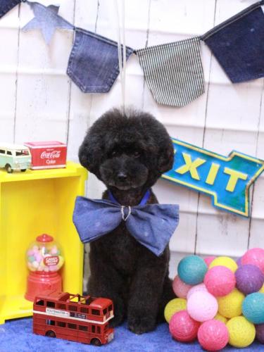 20230415ラブくん